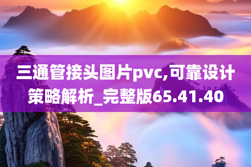 三通管接头图片pvc,可靠设计策略解析_完整版65.41.40