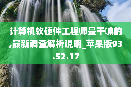 计算机软硬件工程师是干嘛的,最新调查解析说明_苹果版93.52.17