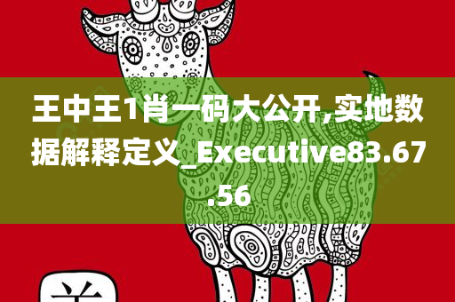 王中王1肖一码大公开,实地数据解释定义_Executive83.67.56