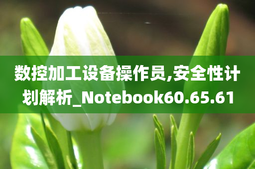 数控加工设备操作员,安全性计划解析_Notebook60.65.61