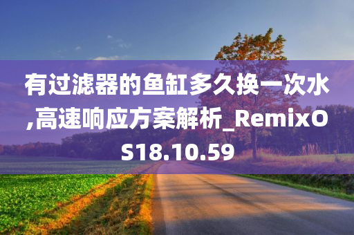 有过滤器的鱼缸多久换一次水,高速响应方案解析_RemixOS18.10.59