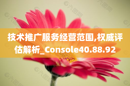 技术推广服务经营范围,权威评估解析_Console40.88.92