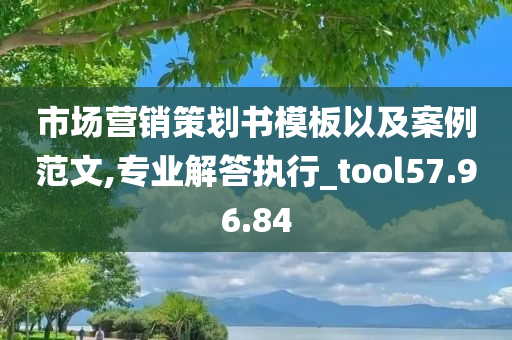 市场营销策划书模板以及案例范文,专业解答执行_tool57.96.84