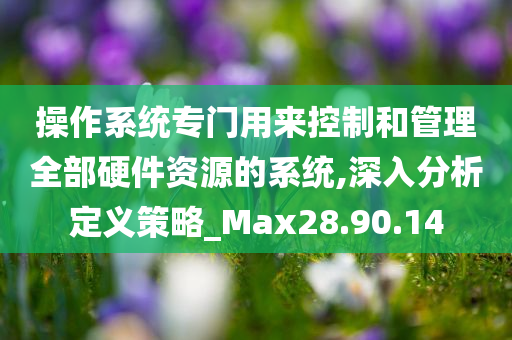 操作系统专门用来控制和管理全部硬件资源的系统,深入分析定义策略_Max28.90.14