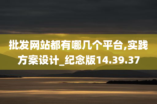 批发网站都有哪几个平台,实践方案设计_纪念版14.39.37