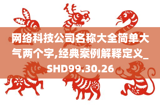 网络科技公司名称大全简单大气两个字,经典案例解释定义_SHD99.30.26