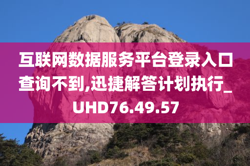 互联网数据服务平台登录入口查询不到,迅捷解答计划执行_UHD76.49.57