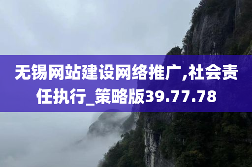 无锡网站建设网络推广,社会责任执行_策略版39.77.78