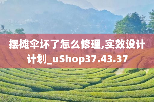 摆摊伞坏了怎么修理,实效设计计划_uShop37.43.37