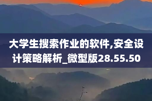 大学生搜索作业的软件,安全设计策略解析_微型版28.55.50