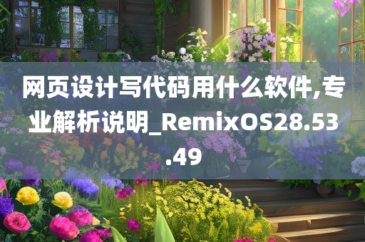 网页设计写代码用什么软件,专业解析说明_RemixOS28.53.49