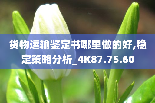 货物运输鉴定书哪里做的好,稳定策略分析_4K87.75.60