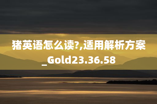 猪英语怎么读?,适用解析方案_Gold23.36.58