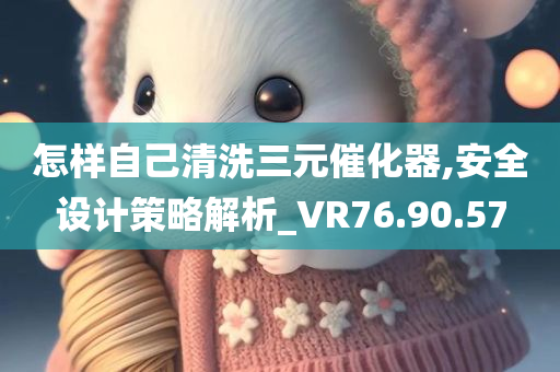 怎样自己清洗三元催化器,安全设计策略解析_VR76.90.57