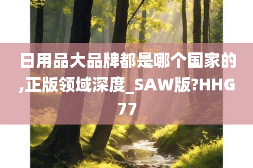 日用品大品牌都是哪个国家的,正版领域深度_SAW版?HHG77