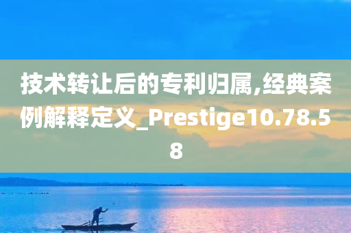 技术转让后的专利归属,经典案例解释定义_Prestige10.78.58