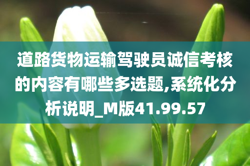 道路货物运输驾驶员诚信考核的内容有哪些多选题,系统化分析说明_M版41.99.57