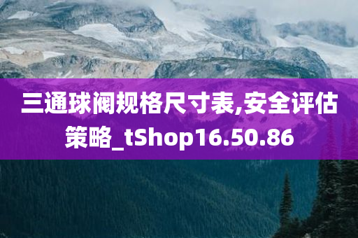 三通球阀规格尺寸表,安全评估策略_tShop16.50.86