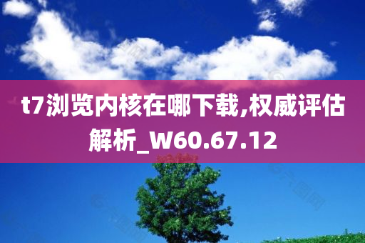 t7浏览内核在哪下载,权威评估解析_W60.67.12