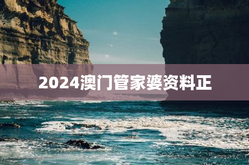 2024澳门管家婆资料正