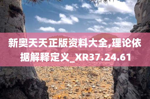 新奥天天正版资料大全,理论依据解释定义_XR37.24.61