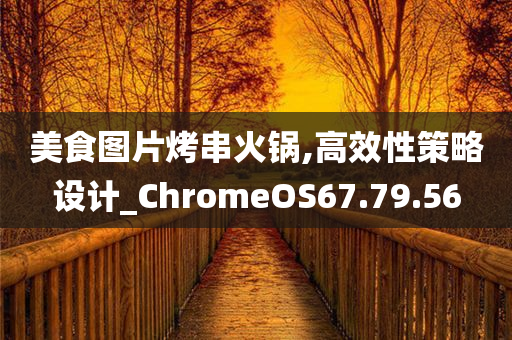 美食图片烤串火锅,高效性策略设计_ChromeOS67.79.56