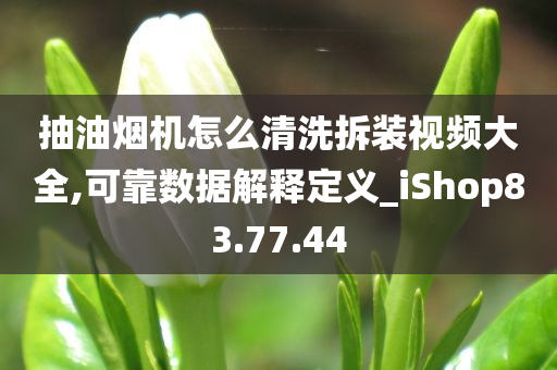 抽油烟机怎么清洗拆装视频大全,可靠数据解释定义_iShop83.77.44