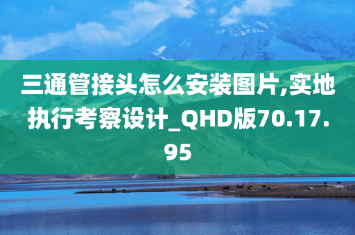 三通管接头怎么安装图片,实地执行考察设计_QHD版70.17.95