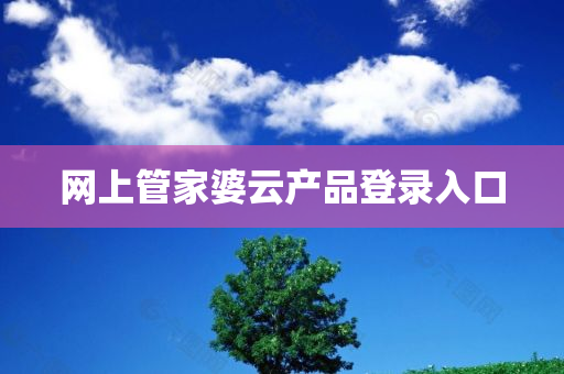 网上管家婆云产品登录入口