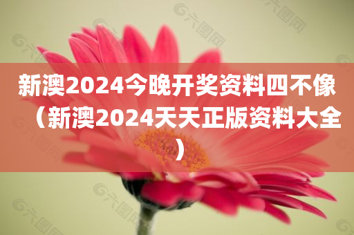 新澳2024今晚开奖资料四不像（新澳2024天天正版资料大全）