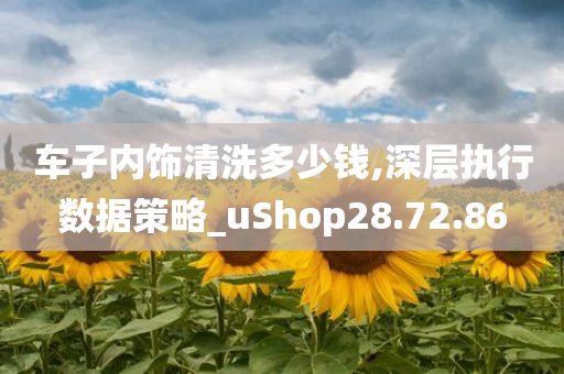 车子内饰清洗多少钱,深层执行数据策略_uShop28.72.86