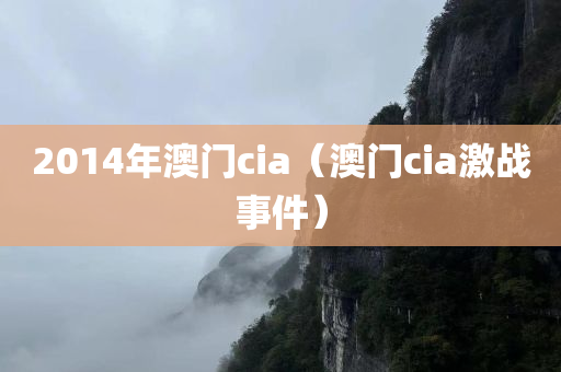 2014年澳门cia（澳门cia激战事件）