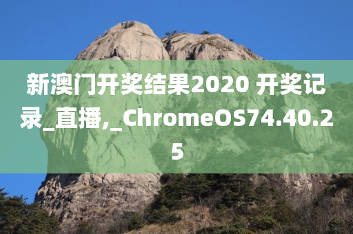 新澳门开奖结果2020 开奖记录_直播,_ChromeOS74.40.25