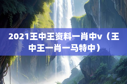 2021王中王资料一肖中v（王中王一肖一马特中）