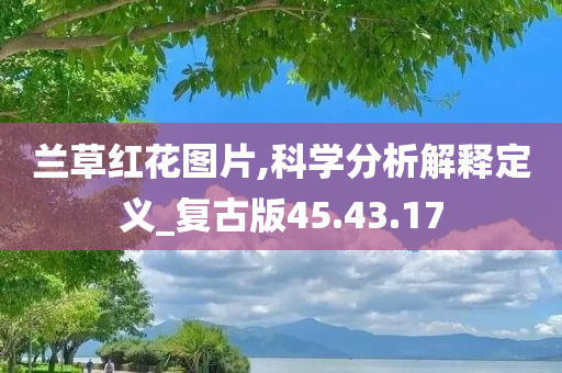 兰草红花图片,科学分析解释定义_复古版45.43.17