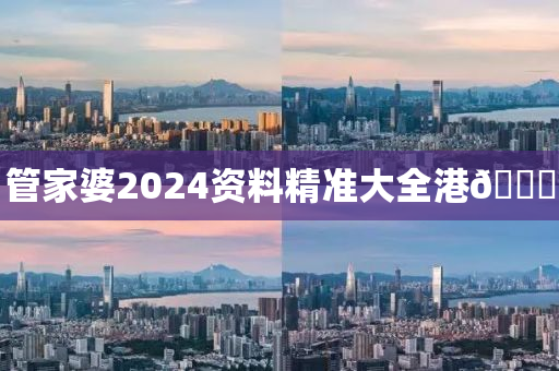 管家婆2024资料精准大全港🐎