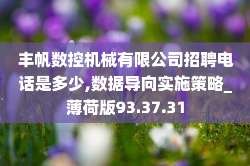 丰帆数控机械有限公司招聘电话是多少,数据导向实施策略_薄荷版93.37.31