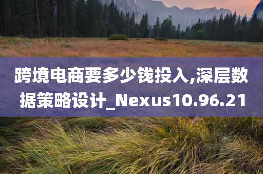 跨境电商要多少钱投入,深层数据策略设计_Nexus10.96.21