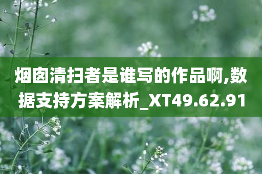 烟囱清扫者是谁写的作品啊,数据支持方案解析_XT49.62.91