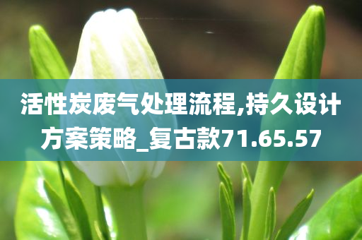 活性炭废气处理流程,持久设计方案策略_复古款71.65.57