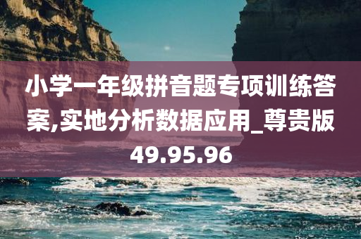 小学一年级拼音题专项训练答案,实地分析数据应用_尊贵版49.95.96