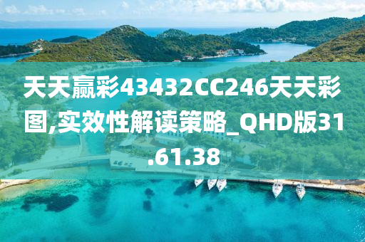 天天赢彩43432CC246天天彩图,实效性解读策略_QHD版31.61.38