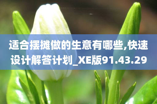 适合摆摊做的生意有哪些,快速设计解答计划_XE版91.43.29