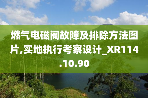 燃气电磁阀故障及排除方法图片,实地执行考察设计_XR114.10.90