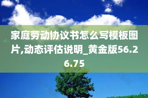 家庭劳动协议书怎么写模板图片,动态评估说明_黄金版56.26.75