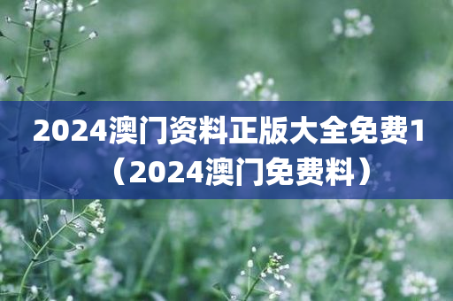 2024澳门资料正版大全免费1（2024澳门免费料）