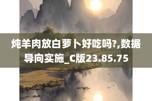 炖羊肉放白萝卜好吃吗?,数据导向实施_C版23.85.75