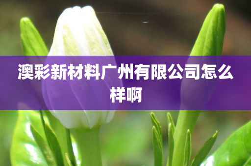 澳彩新材料广州有限公司怎么样啊