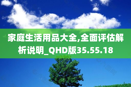 家庭生活用品大全,全面评估解析说明_QHD版35.55.18