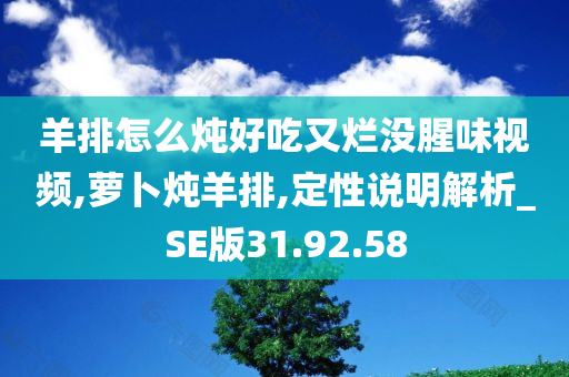 羊排怎么炖好吃又烂没腥味视频,萝卜炖羊排,定性说明解析_SE版31.92.58